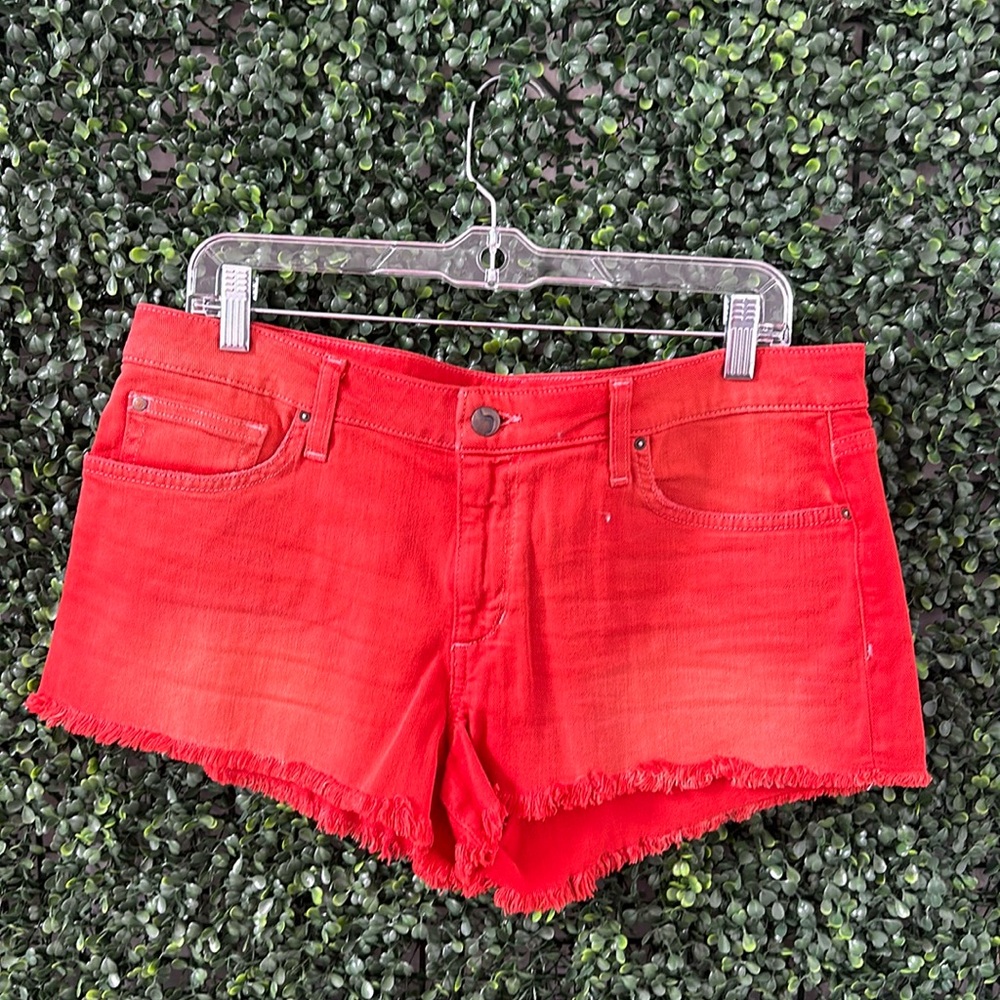 Collector’s Edition Joe’s Jean Shorts